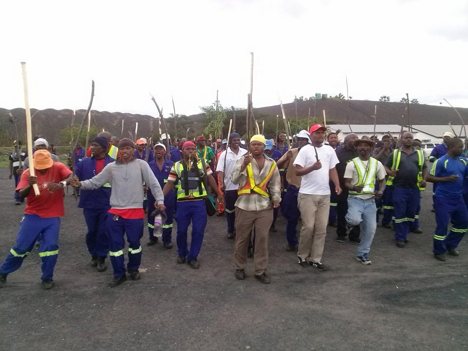 10390256_816987495025273_3486157824381621048_n