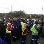 1393617_816987585025264_3155821421437066323_n