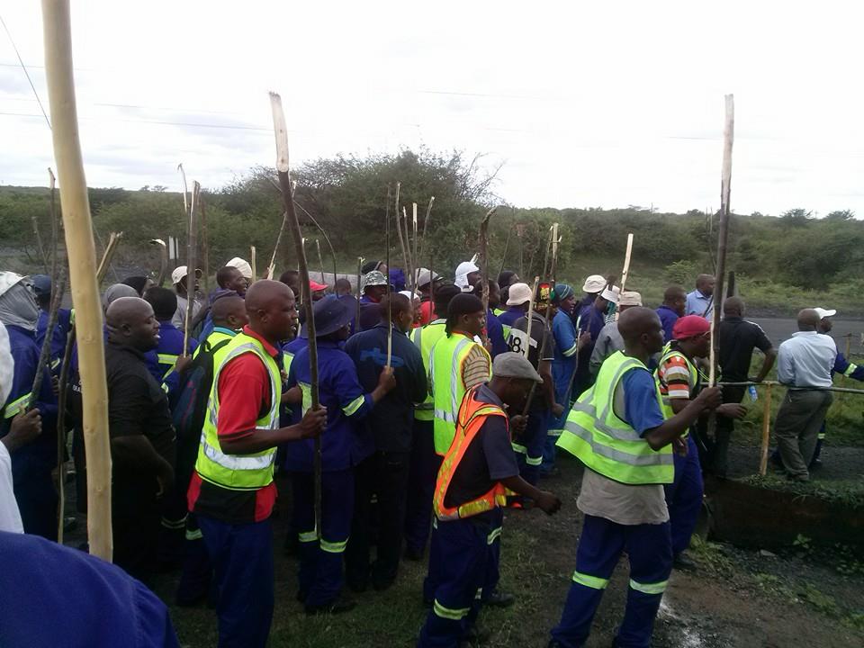 1393617_816987585025264_3155821421437066323_n